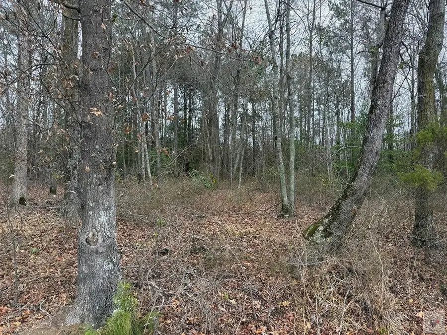 TBD Cr 1101, New Boston, TX 75570 - #3