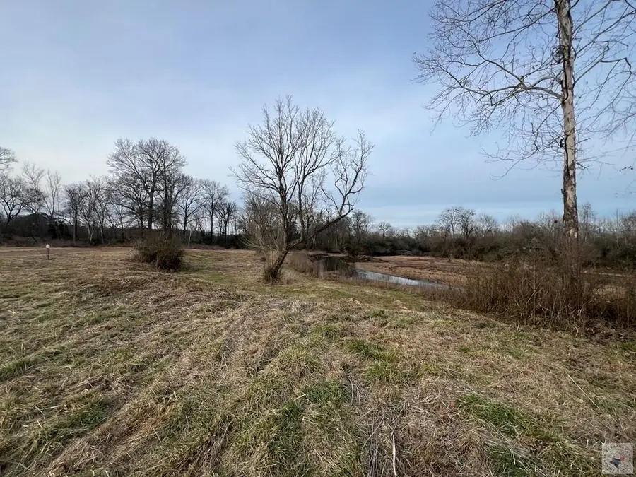 10 Brian Drive, Nashville, AR 71852 - #3