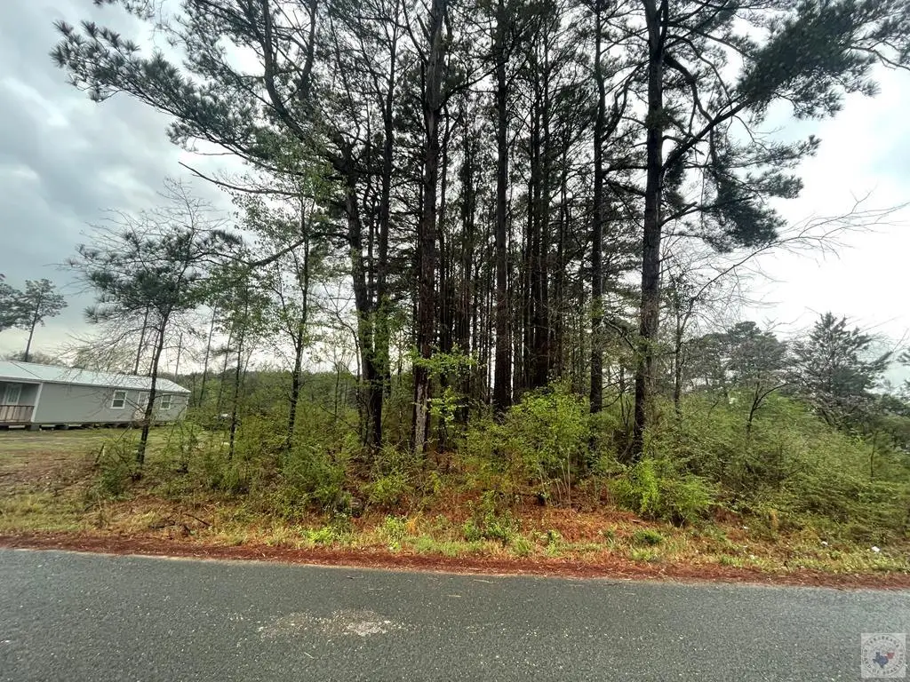 1706 Proetz Ln., Wake Village, TX 75501 - #1