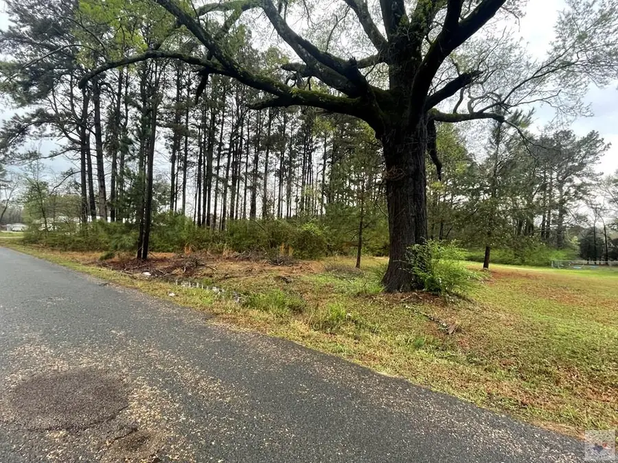 1706 Proetz Ln., Wake Village, TX 75501 - #2