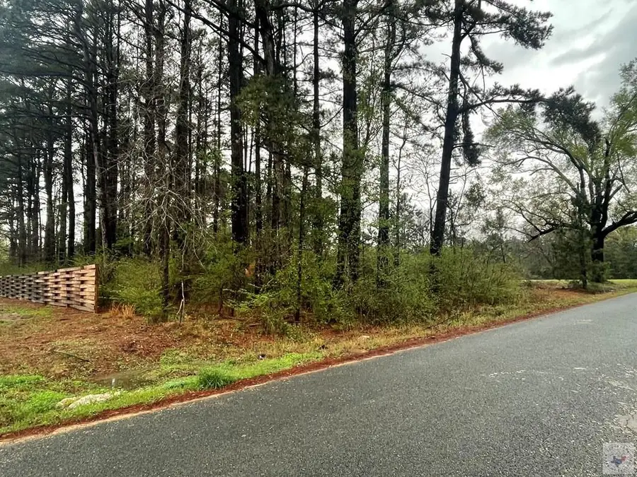 1706 Proetz Ln., Wake Village, TX 75501 - #3