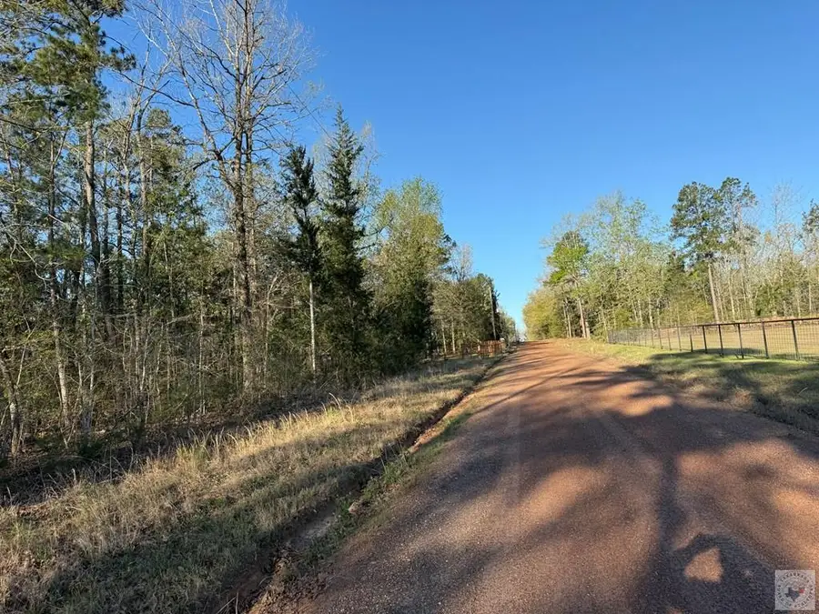 CR 3671 Tbd, Queen City, TX 75572 - #2