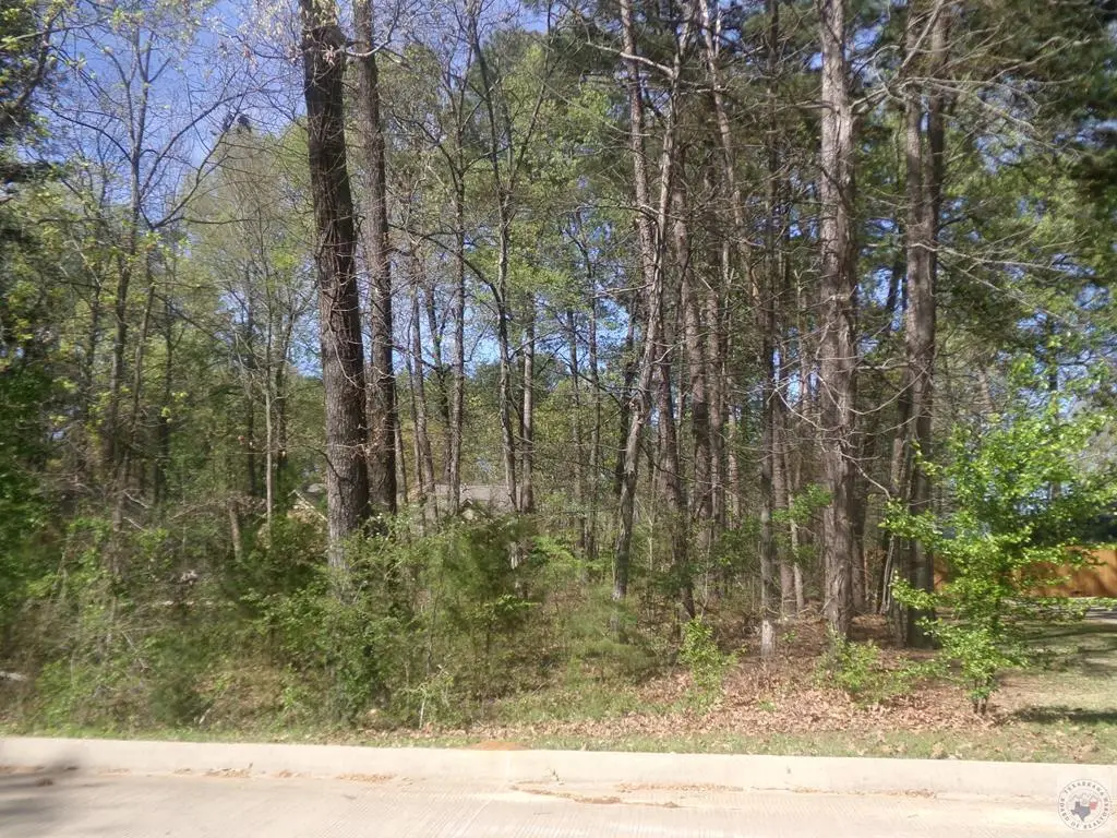 TBD Forest Lake, Texarkana, TX 75503 - #1