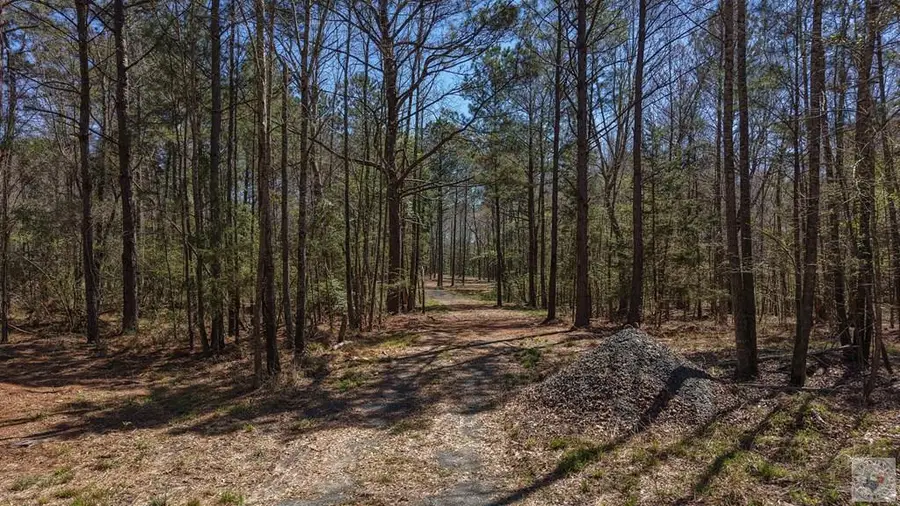 1618 Hwy 59, Linden, TX 75563 - #2