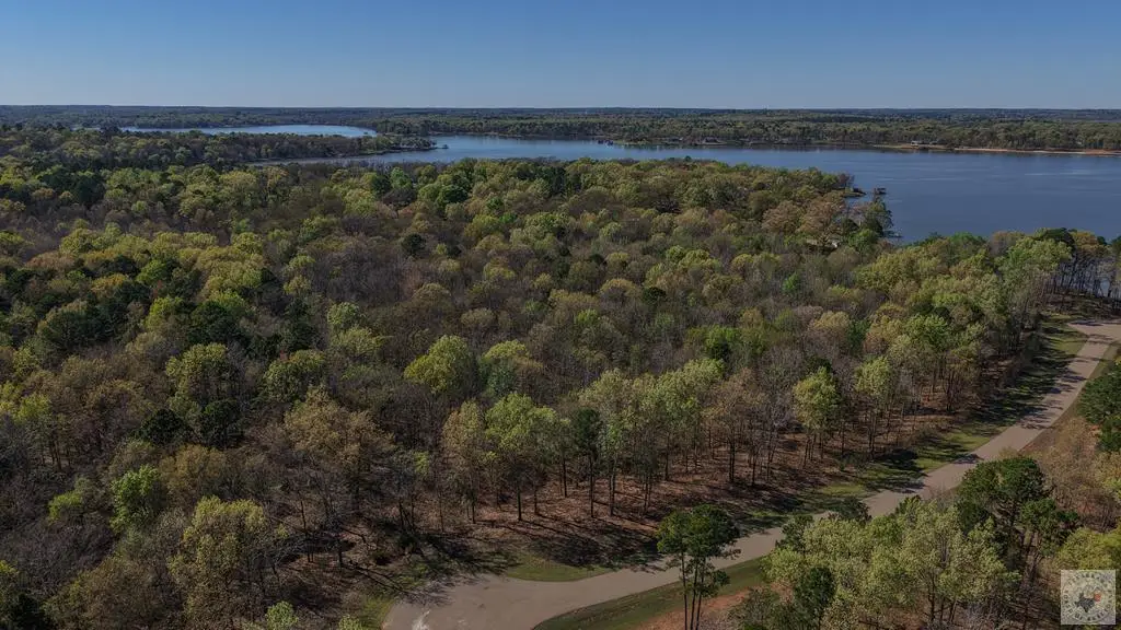 0000 N Private Road 52416, Leesburg Newsome, TX 75451 - #1