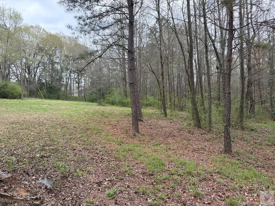 TBD Stevens Dr., Marietta, TX 75566 - #2