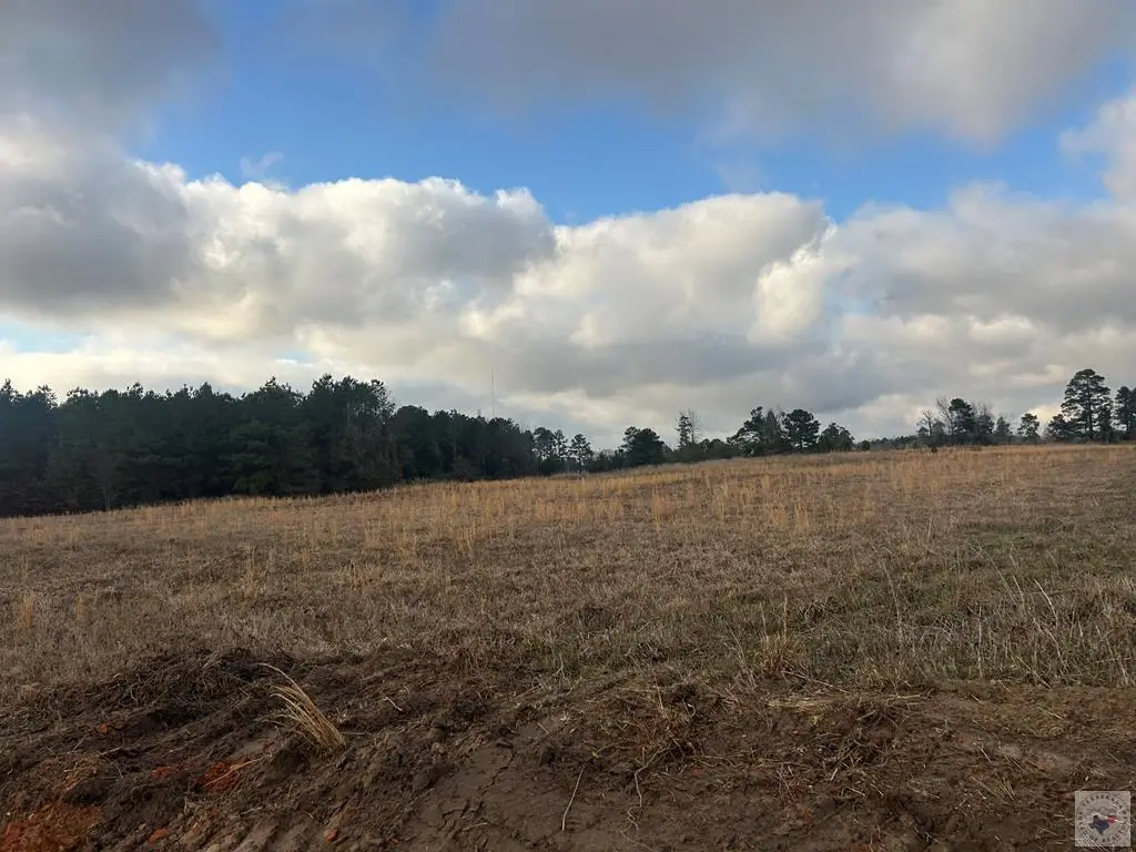 TBD Miller County 529 (lot 13), Fouke, AR 71837 - #1