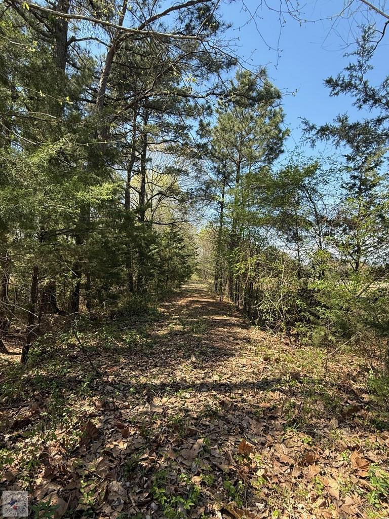 0 County Road 4310, Avery, TX 75554 - #2