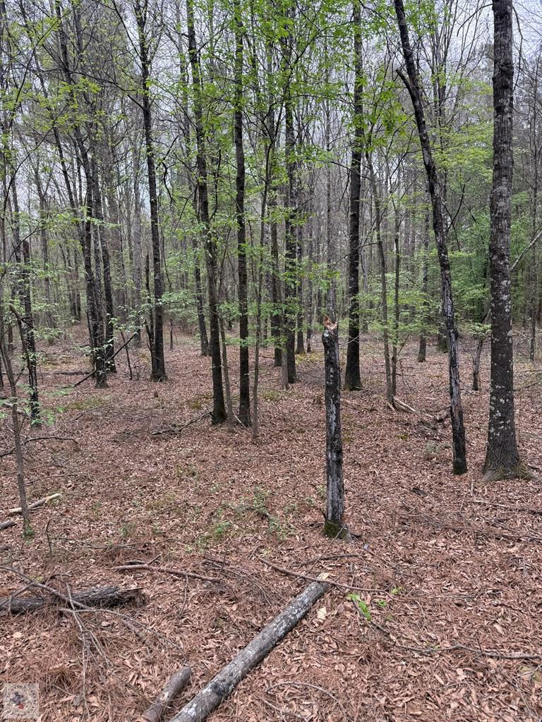 800 Cr 1101, New Boston, TX 75501 - #3