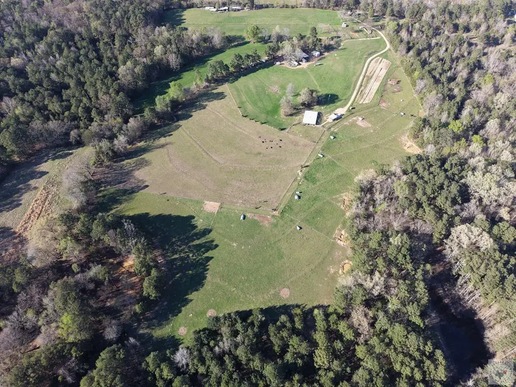 151 County Road 2620, Marietta, TX 75566 - #1