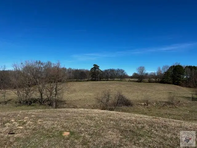 TBD Cr 3330, Omaha, TX 75571 - #1