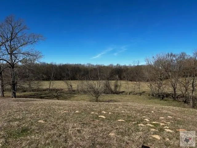 TBD Cr 3330, Omaha, TX 75571 - #2