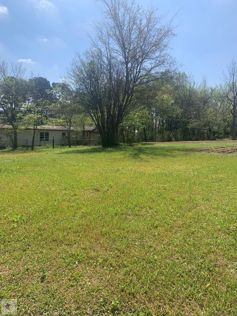 0 Browning, De Kalb, TX 75559 - #1
