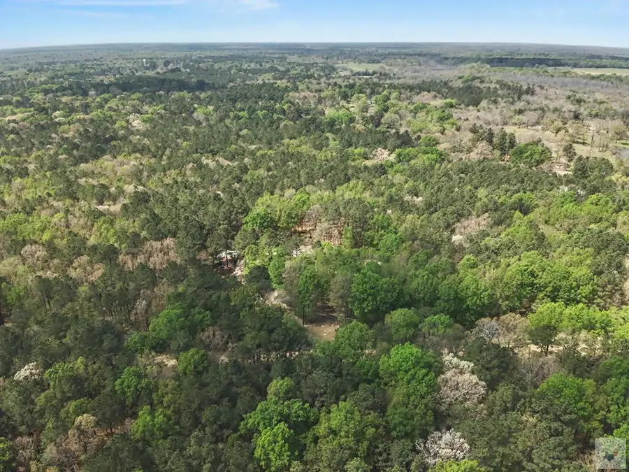 31 +/- ac Cr 2108, Hooks, TX 75561 - #2