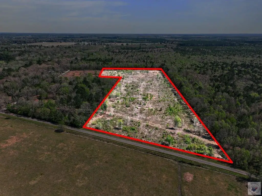 14 +/- Acres County Road 4223, Simms, TX 75574 - #1