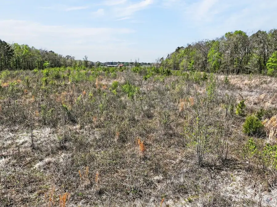 14 +/- Acres County Road 4223, Simms, TX 75574 - #3