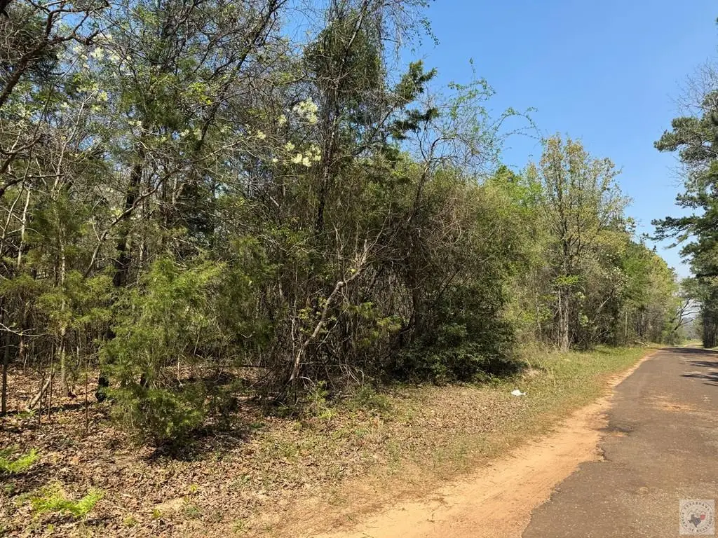 TBD Cr 4450, McLeod, TX 75555 - #1