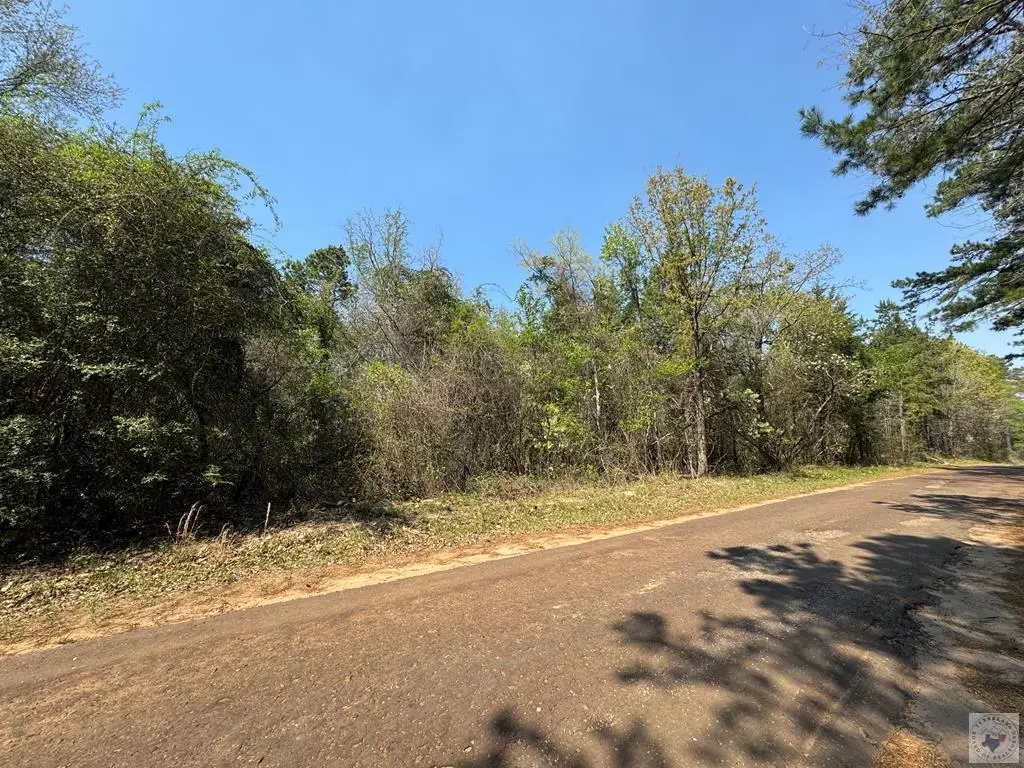 TBD Cr 4451, Bivins McLeod, TX 75555 - #1