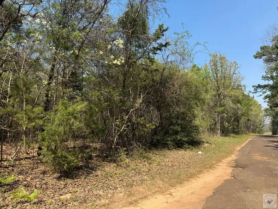 TBD Cr 4451, Bivins McLeod, TX 75555 - #2