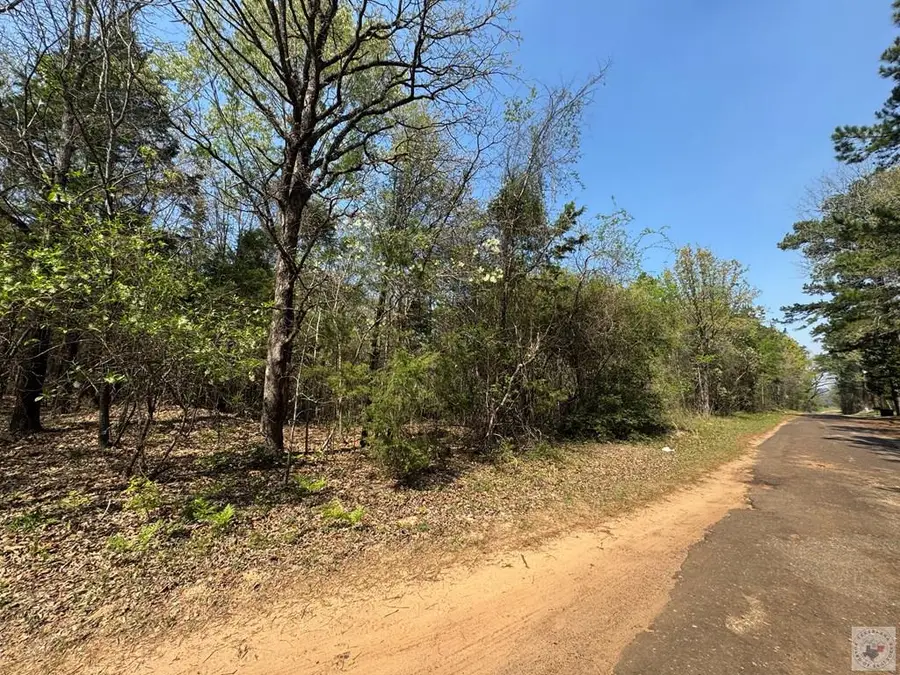 TBD Cr 4451, Bivins McLeod, TX 75555 - #3