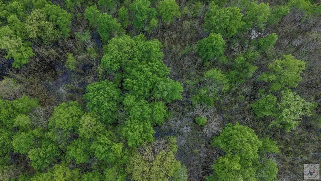 0000 Fm 195, Manchester, TX 75412 - #1