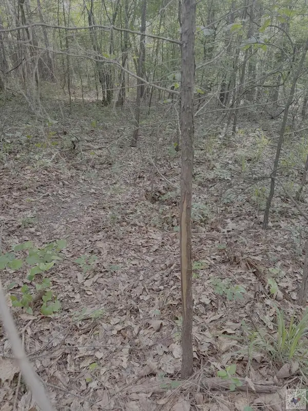 1885 Co Rd 2342, Marietta, TX 75566