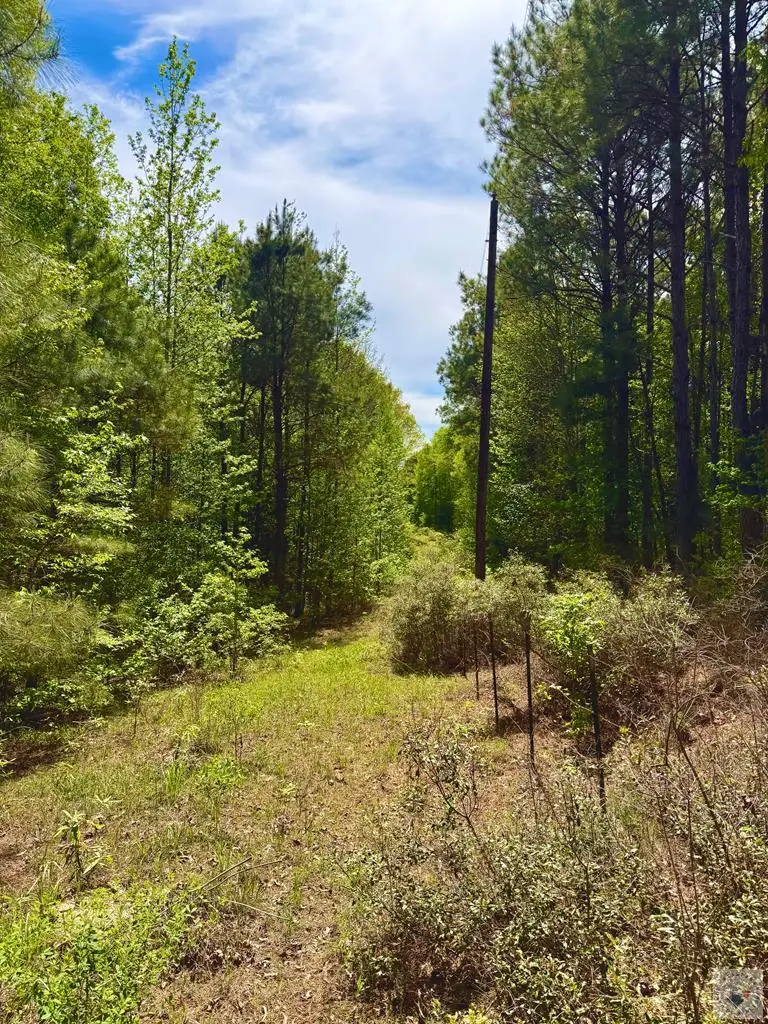 Fm 125 Fm 125, McLeod, TX 75565 - #1