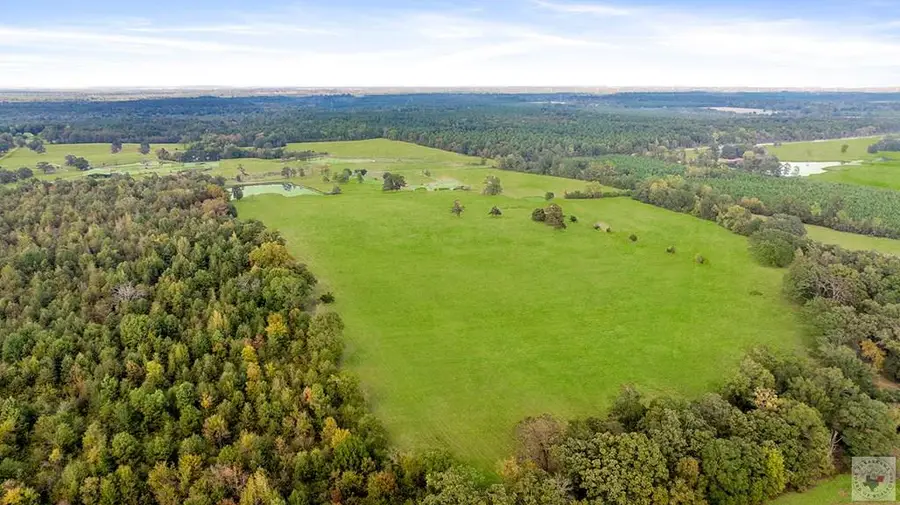 1136 Cr 2001, New Boston, TX 75570 - #2