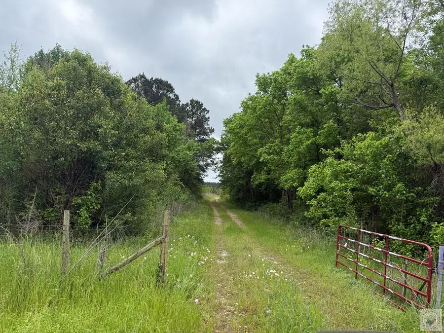 125 +/- ac E Wallace Dr, Texarkana, TX 75501 - #2