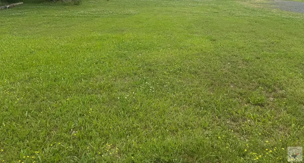 TBD Odom, Hooks, TX 75561 - #1