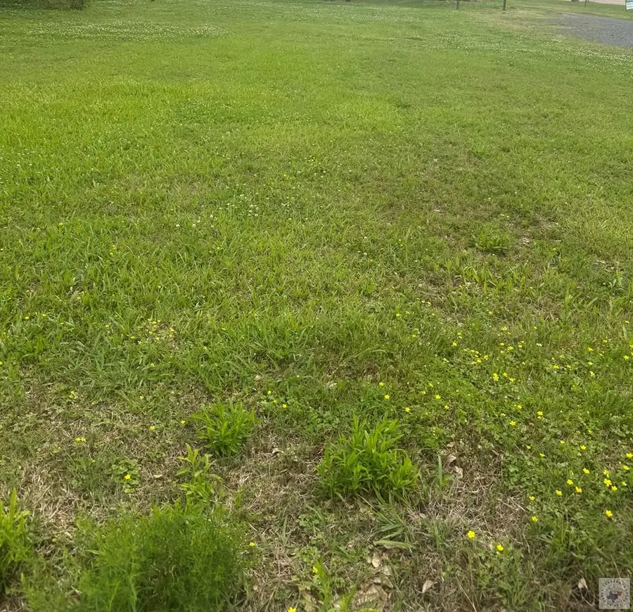 TBD Odom, Hooks, TX 75561 - #3