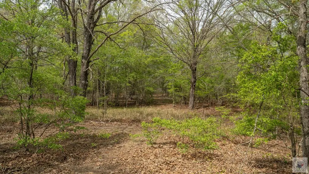 0000 Tbd Fm 195, Manchester, TX 75412 - #1