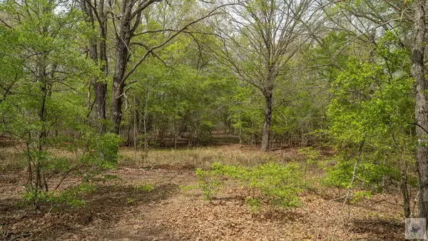 0000 Tbd Fm 195, Out of Area-Texas, TX 75412