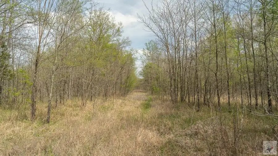 0000 Tbd Fm 195, Manchester, TX 75412 - #2