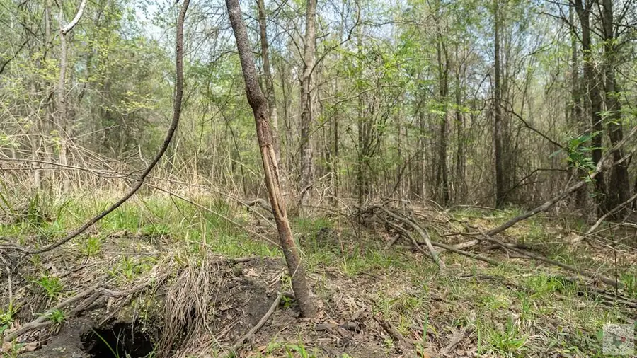 0000 Tbd Fm 195, Manchester, TX 75412 - #3