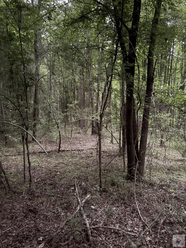 TBD County Road 2742, Marietta, TX 75566 - #2