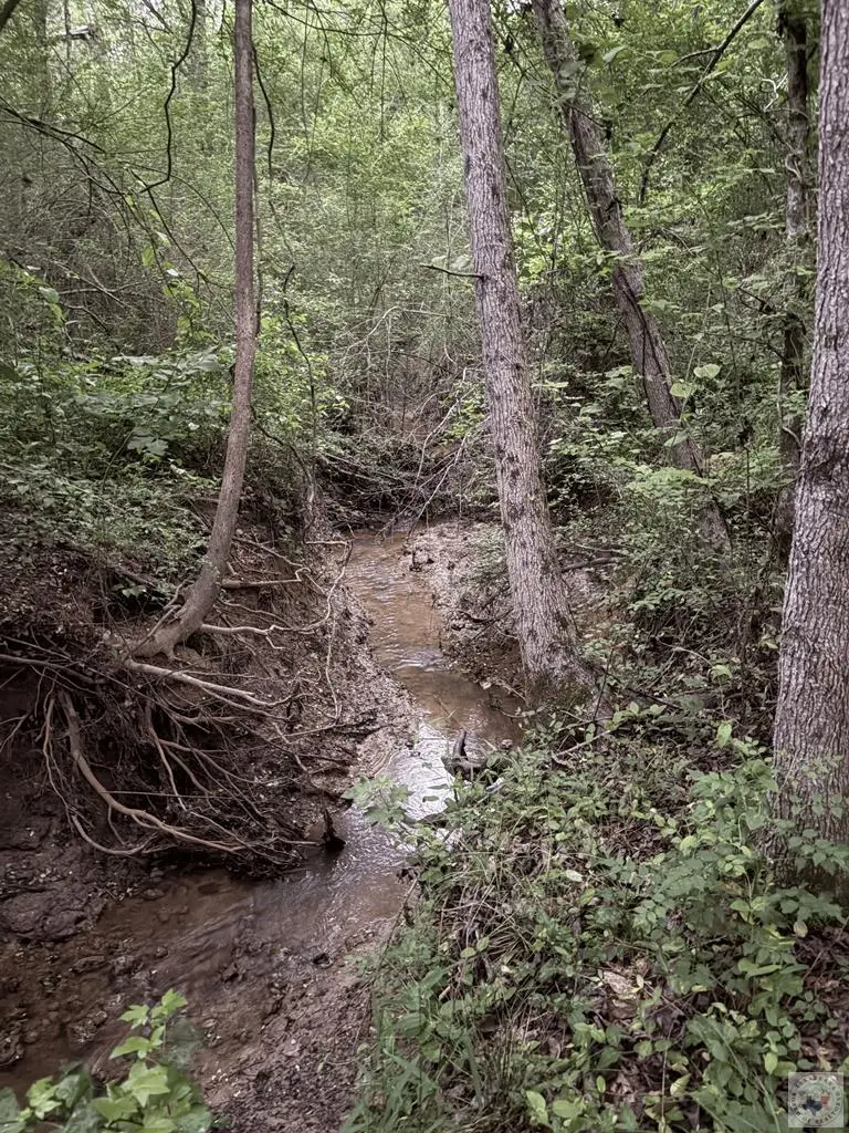 TBD County Road 2742, Marietta, TX 75566 - #3