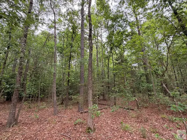 TBD Cr 1580 A, Avinger, TX 75630