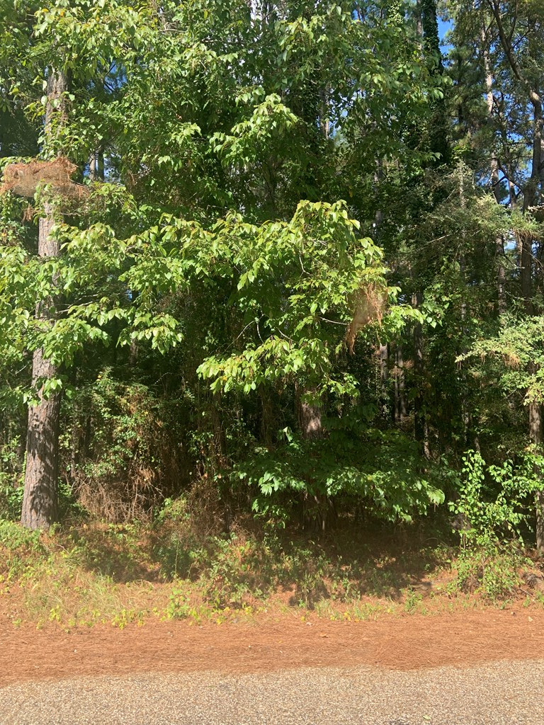 0 S Lakeshore Dr, Texarkana, TX 75501 - #2