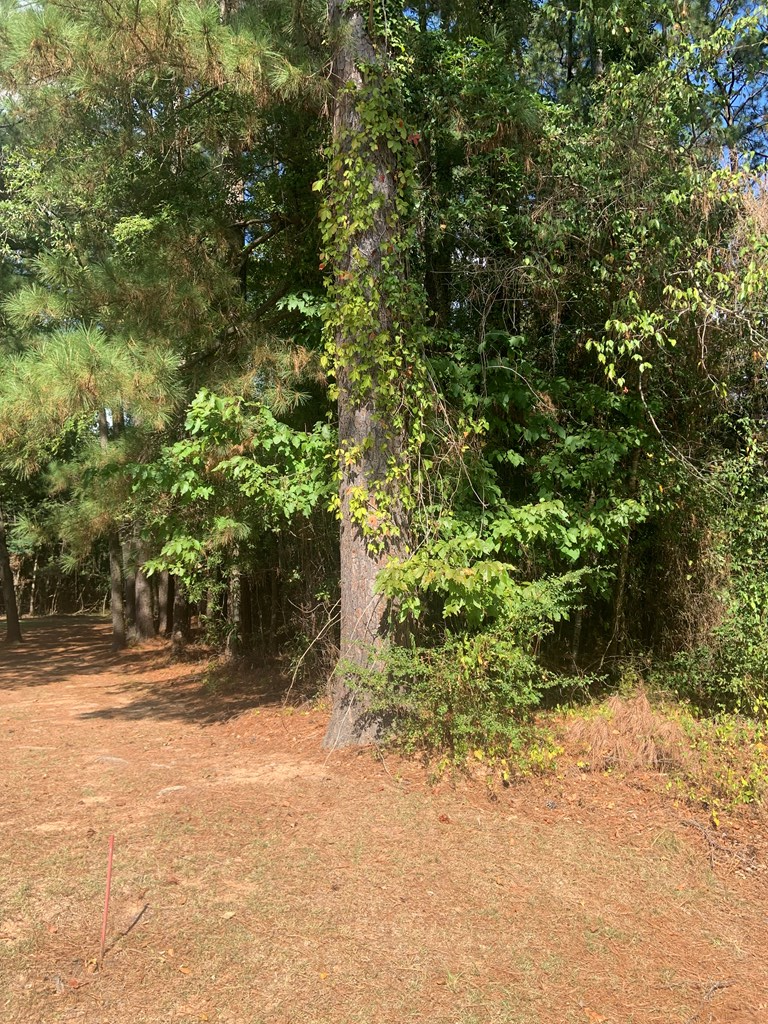 0 S Lakeshore Dr, Texarkana, TX 75501 - #3
