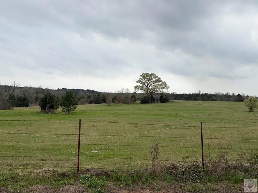 TBD Cr 1243, Linden, TX 75563 - #2