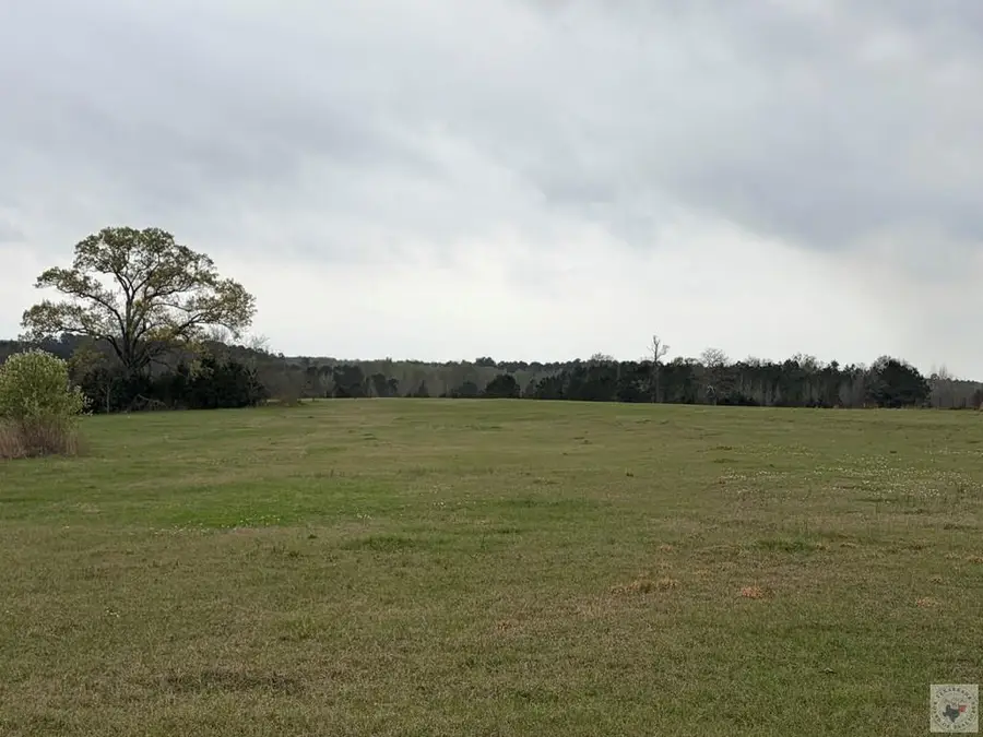 TBD Cr 1243, Linden, TX 75563 - #3