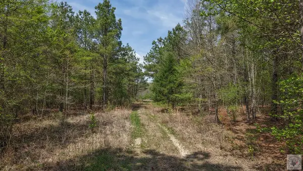 TBD Fm 195, Out of Area-Texas, TX 75412