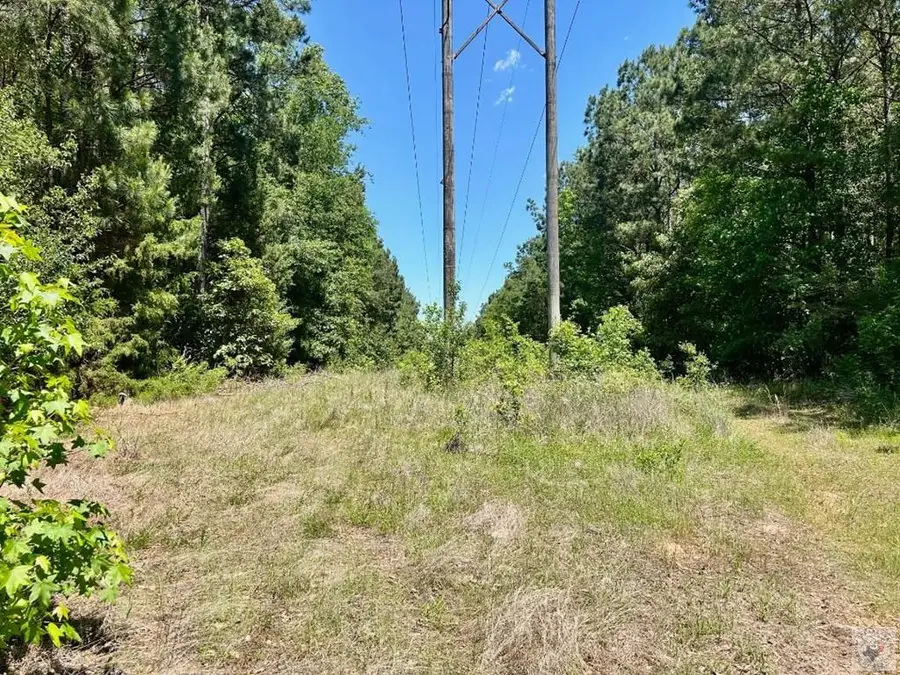 TBD Cr 4814, Bloomburg, TX 75556 - #3