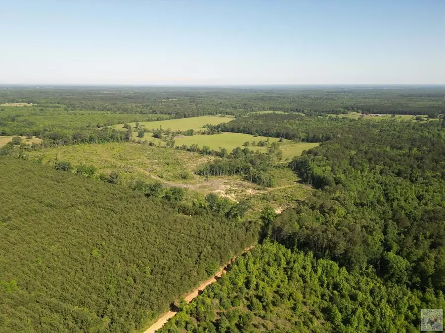 TBD Cr 2729, Naples, TX 75568 - #2