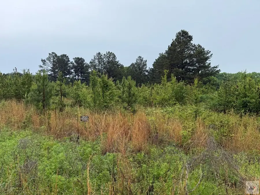 4808 Mcbride Road, Texarkana, AR 71854 - #3