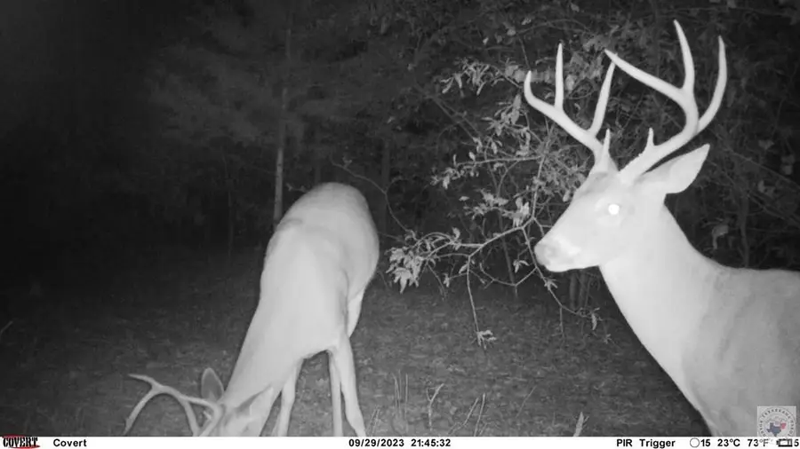 TBD Fm 114, De Kalb, TX 75559 - #3