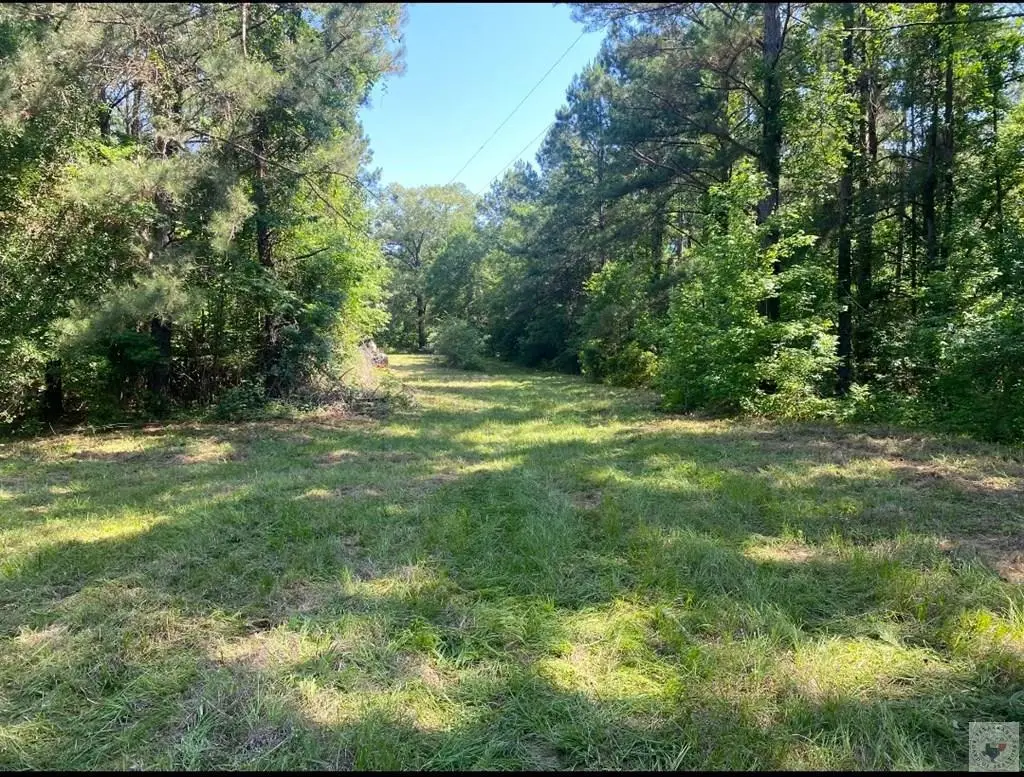 TBD Cr 3992, Bloomburg, TX 75556 - #1