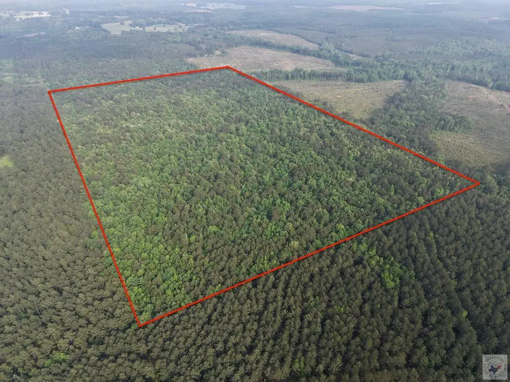 000 County Road 4123, Bivins, TX 75551 - #1