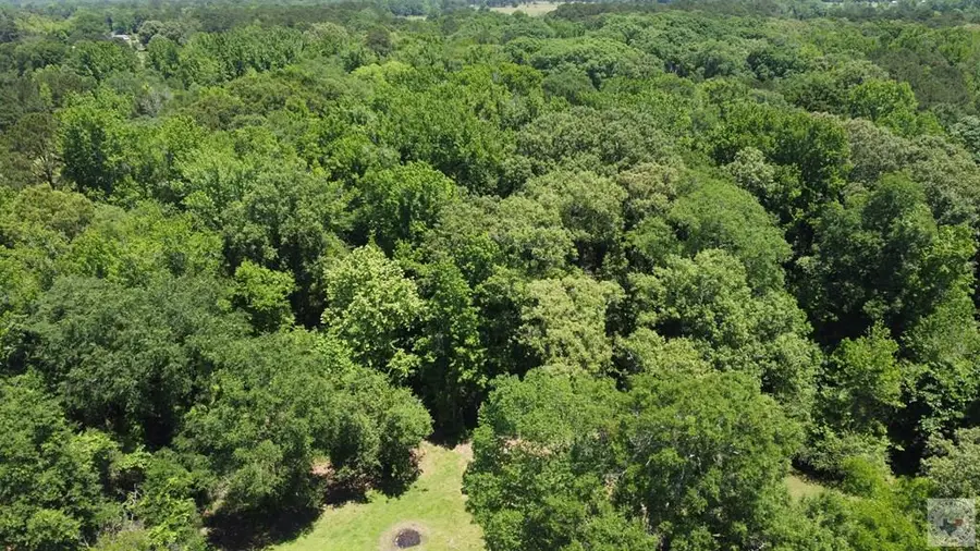 0 Maple, Maud, TX 75567 - #2